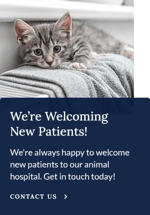 Buy Pets