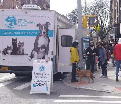Pet Shelters